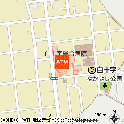 白十字総合病院出張所付近の地図