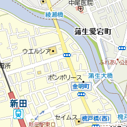 埼玉県草加市金明町224周辺の地図