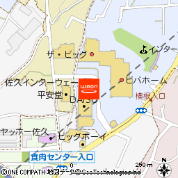 ザ・ビッグ佐久インターウェーブ店付近の地図