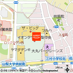 ザ・ビッグ山梨中央店付近の地図