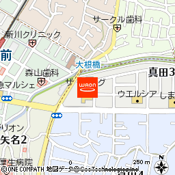 ザ・ビッグ平塚真田店付近の地図