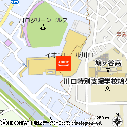 イオンリカー川口店付近の地図